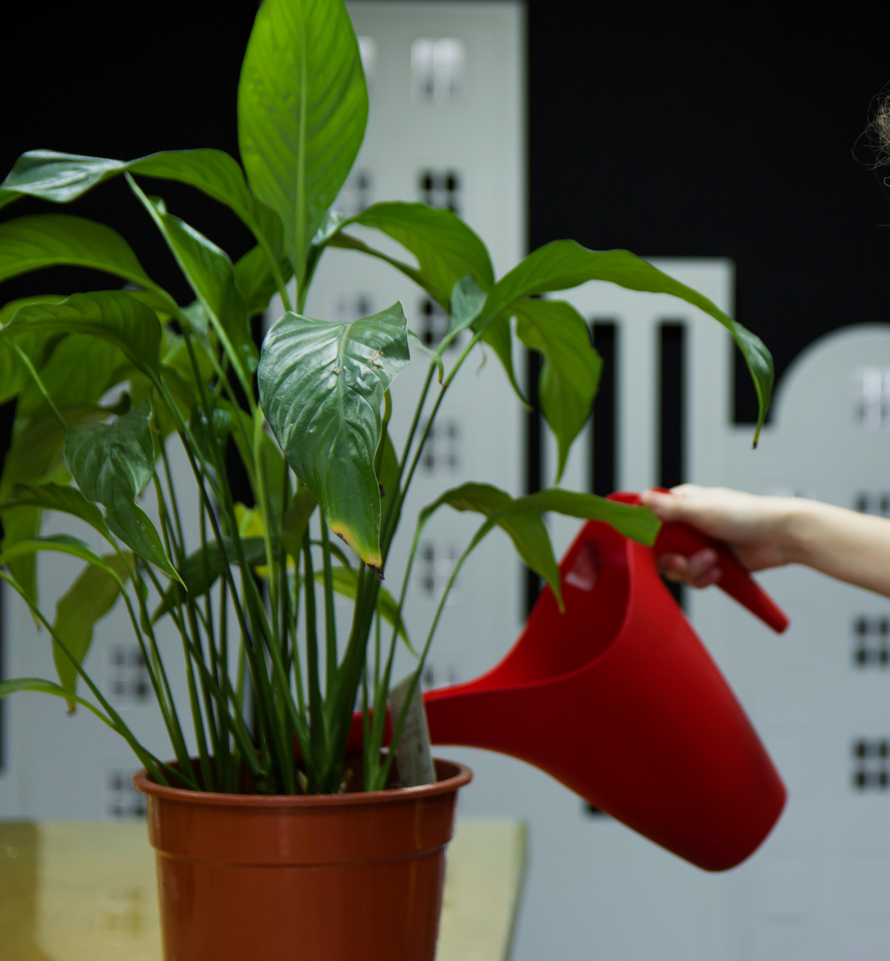 ¡¡por fin tengo tiempo!!