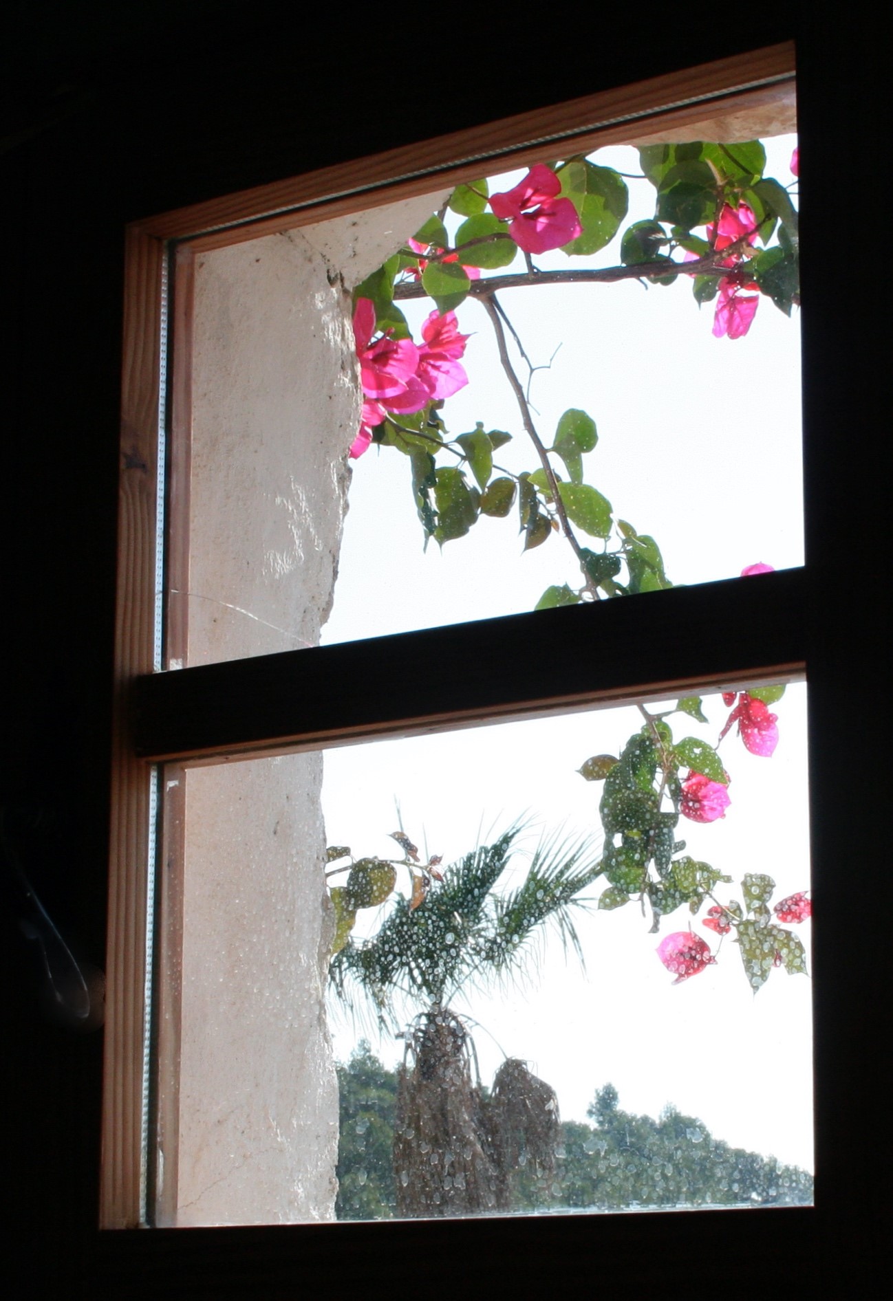 Conocer mejor nuestra sensación de soledad