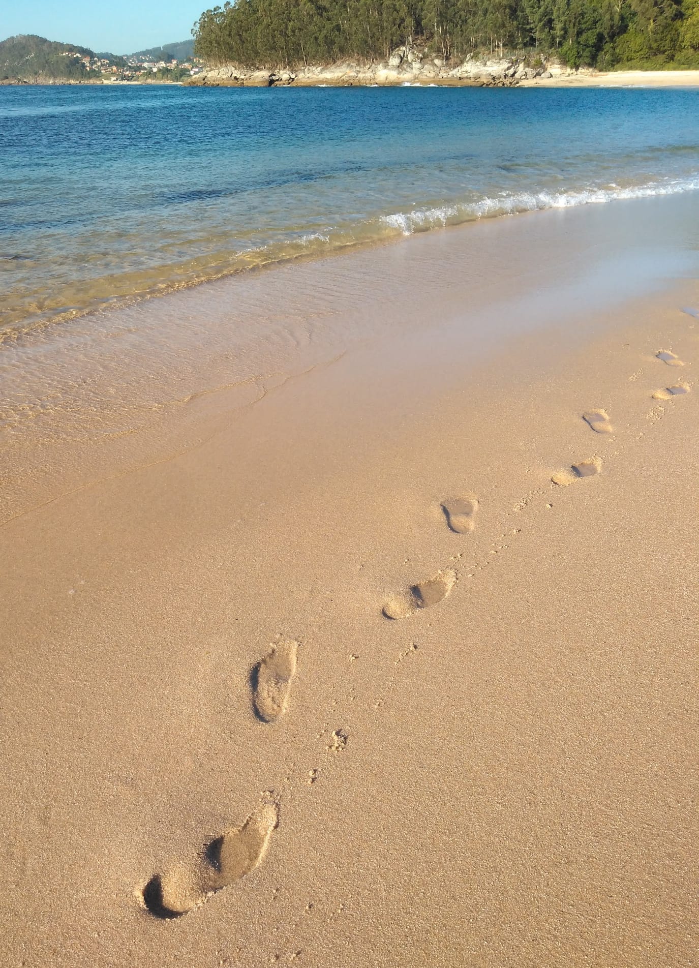 Un paso más en el camino